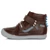 D.D.Step, Brown, Dino Modelated, Pantofi temporari pentru copii pentru băieți.